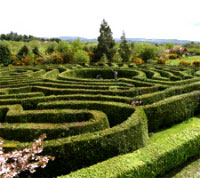 Greenan Maze